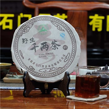 石峰山野生千两茶2006年 茶饼600克
